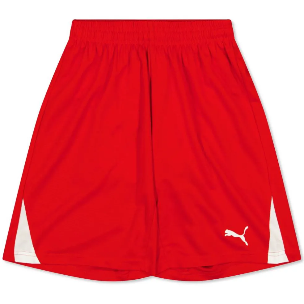 (3) Fb Team Shorts With Brief Juniors