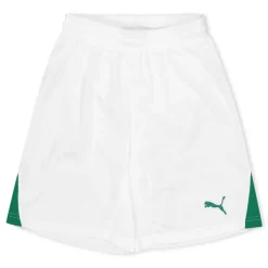 (F3) Fb Team Shorts With Brief Juniors