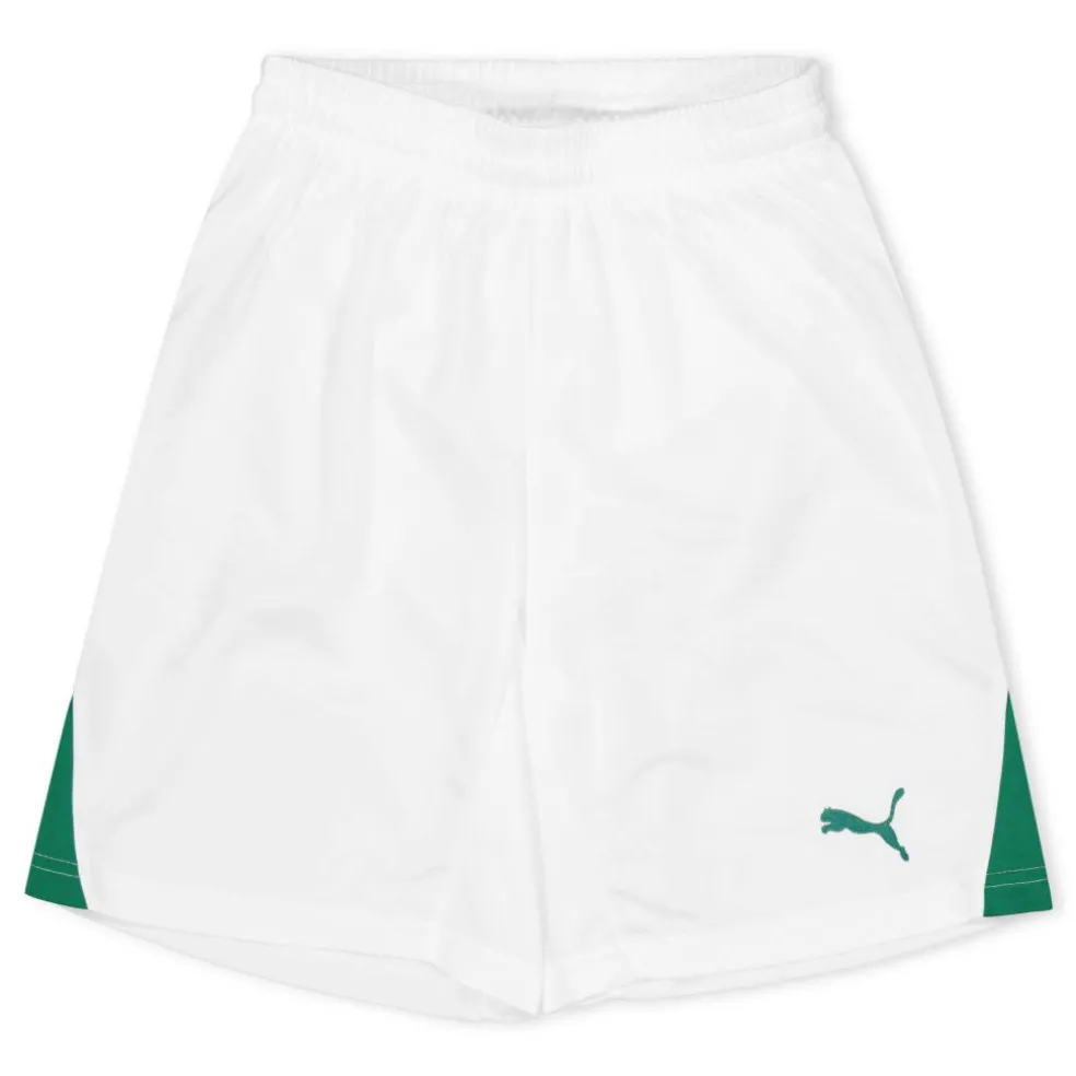(F3) Fb Team Shorts With Brief Juniors