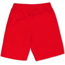 (F3) Fb Team Shorts With Brief Juniors