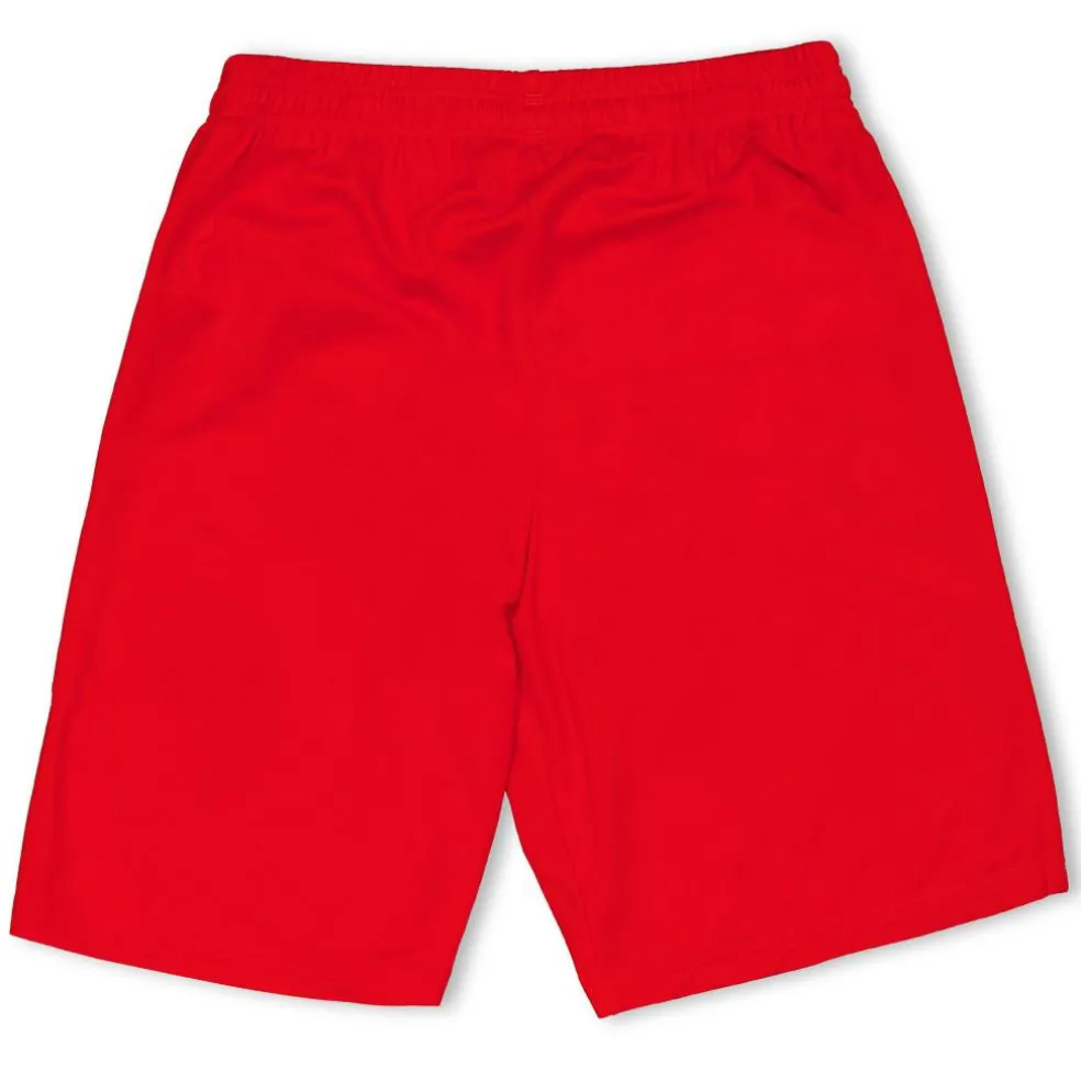 (F3) Fb Team Shorts With Brief Juniors
