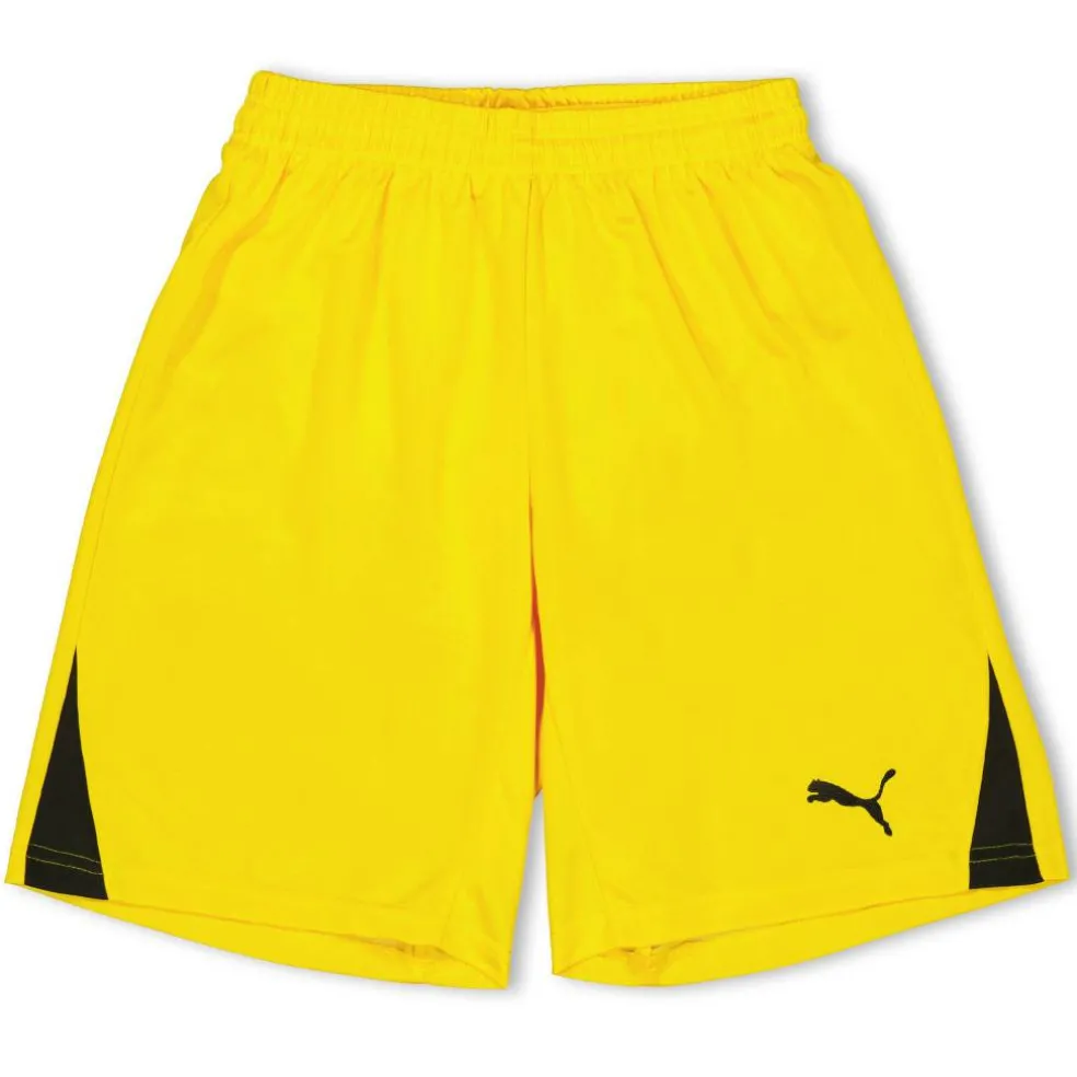 (F3) Fb Team Shorts With Brief Juniors