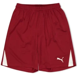(F3) Fb Team Shorts With Brief Juniors
