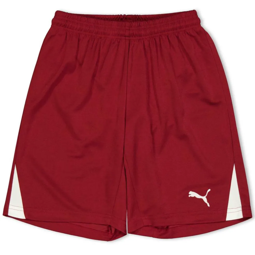 (F3) Fb Team Shorts With Brief Juniors