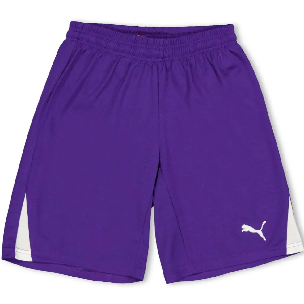 (F3) Fb Team Shorts With Brief Juniors