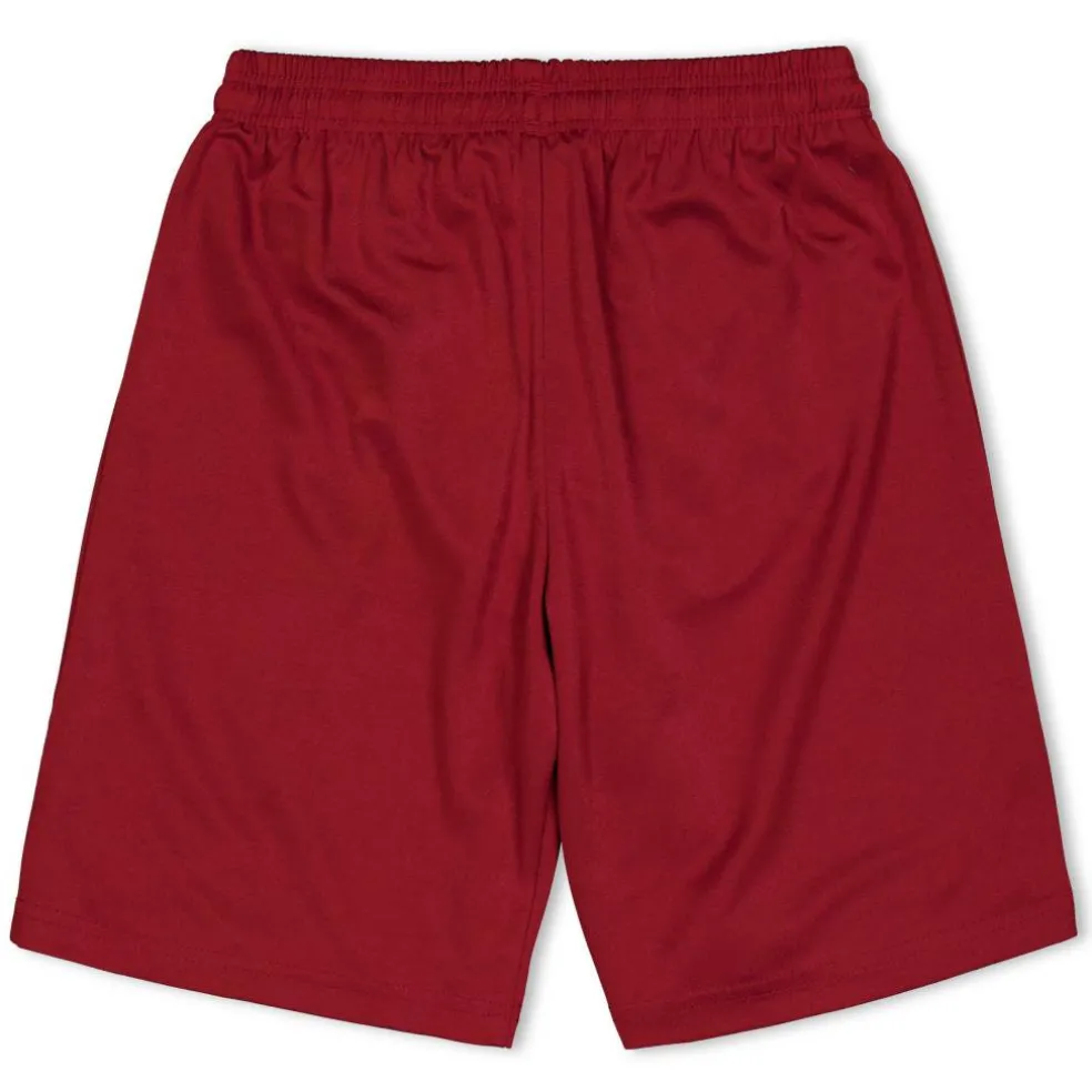 (F3) Fb Team Shorts With Brief Juniors