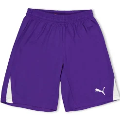 (F3) Fb Team Shorts With Brief Juniors