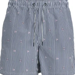 Fiji Stripe Swim Short