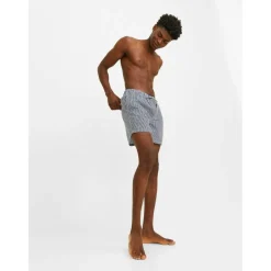 Fiji Stripe Swim Short