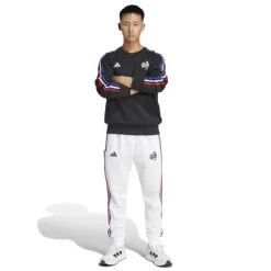 France Fan Crew Sweater 2025 Adults