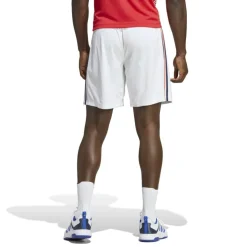 France Handball Shorts