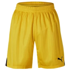 (F15) Swim Team Shorts With Innerbr Mens