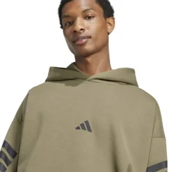 Future Icons 3-Stripes Hoodie Mens