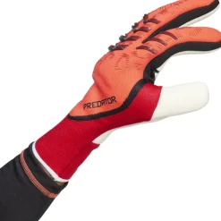 Goalkeeper Gloves