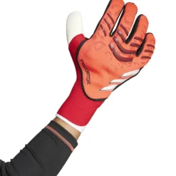 Goalkeeper Gloves