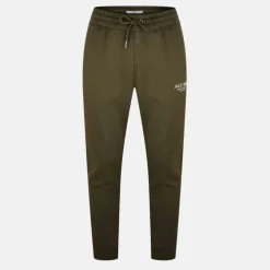Haydor Logo Joggers Mens