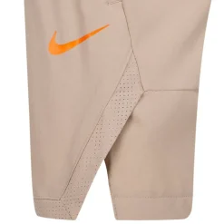 Hazy Rays Woven Shorts