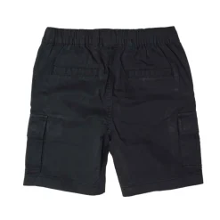 High Desert Shorts