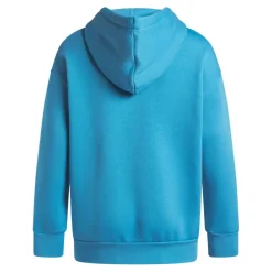 Icon Fleece Os Hoody