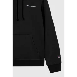 Icons Fleece Hoodie