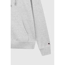 Icons Fleece Hoodie