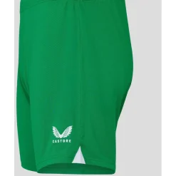 Ireland Home Shorts 2023 Mens