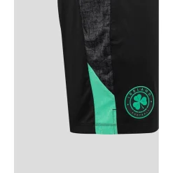 Ireland Training Shorts 2025 Adults
