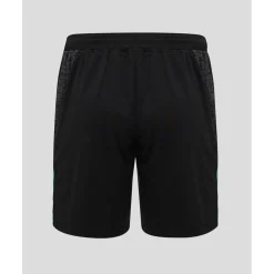 Ireland Training Shorts 2025 Adults