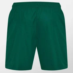 Ireland Training Shorts 2024 Mens