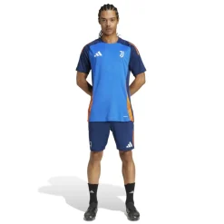 Juventus Training Shirt 2024 2025 Adults