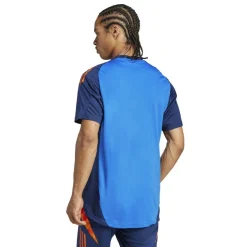 Juventus Training Shirt 2024 2025 Adults