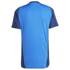 Juventus Training Shirt 2024 2025 Adults
