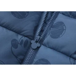 Kids' Hooded Long Sleeve Short Puffer Jacket