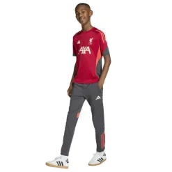 Kids' Liverpool Short Sleeve T-Shirt