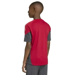 Kids' Liverpool Short Sleeve T-Shirt