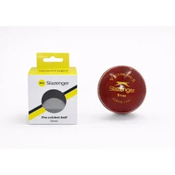 Leather High Visibility Outdoor Cricket Balls