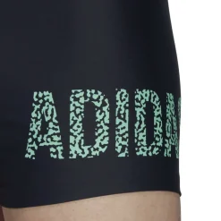 Lineage Swim Boxers