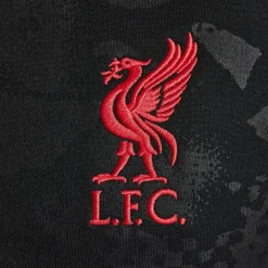 Liverpool Academy Pro Third Pre Match Shirt 2024 2025 Juniors