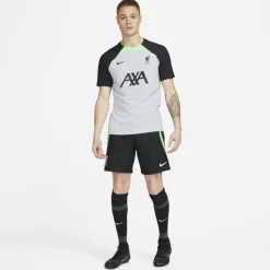 Liverpool Fc Strike Elite Men'S Dri-Fit Adv Knit Soccer Shorts Football Short Mens