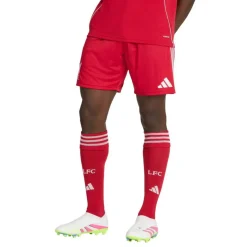 Liverpool Home Shorts 2025 2026 Adults