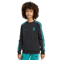 Liverpool Terrace Icons Sweatshirt Juniors