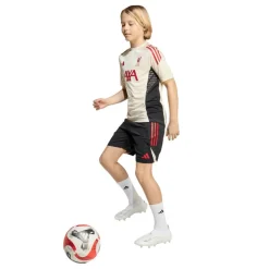 Liverpool Training Shirt 2025 2026 Juniors