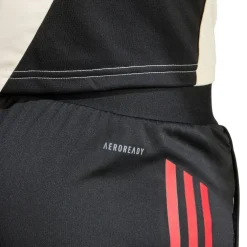 Liverpool Training Shorts 2025 2026 Womens