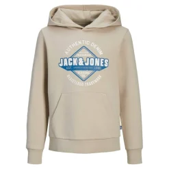 Logo Hoodie