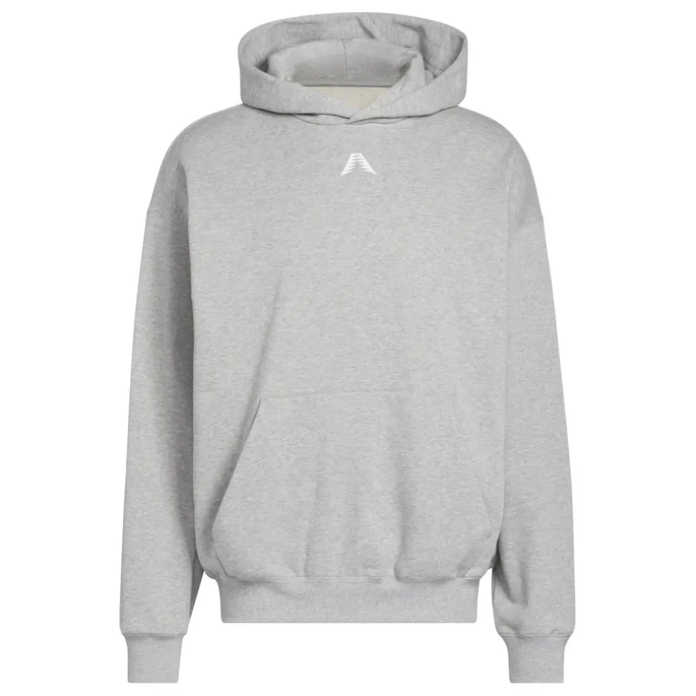 Men's Anted Gfx Pull Over Hoodie