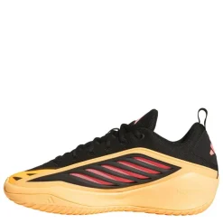 Men's Basketball Trainers