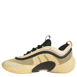 Men's Basketball Trainers