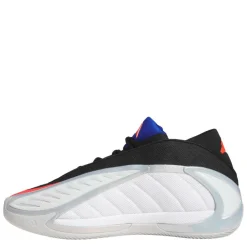 Men's Basketball Trainers