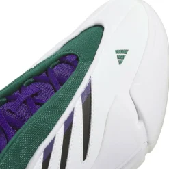 Men's Dame Basketball Trainers