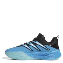 Men's Dame Certified Basketball Trainers